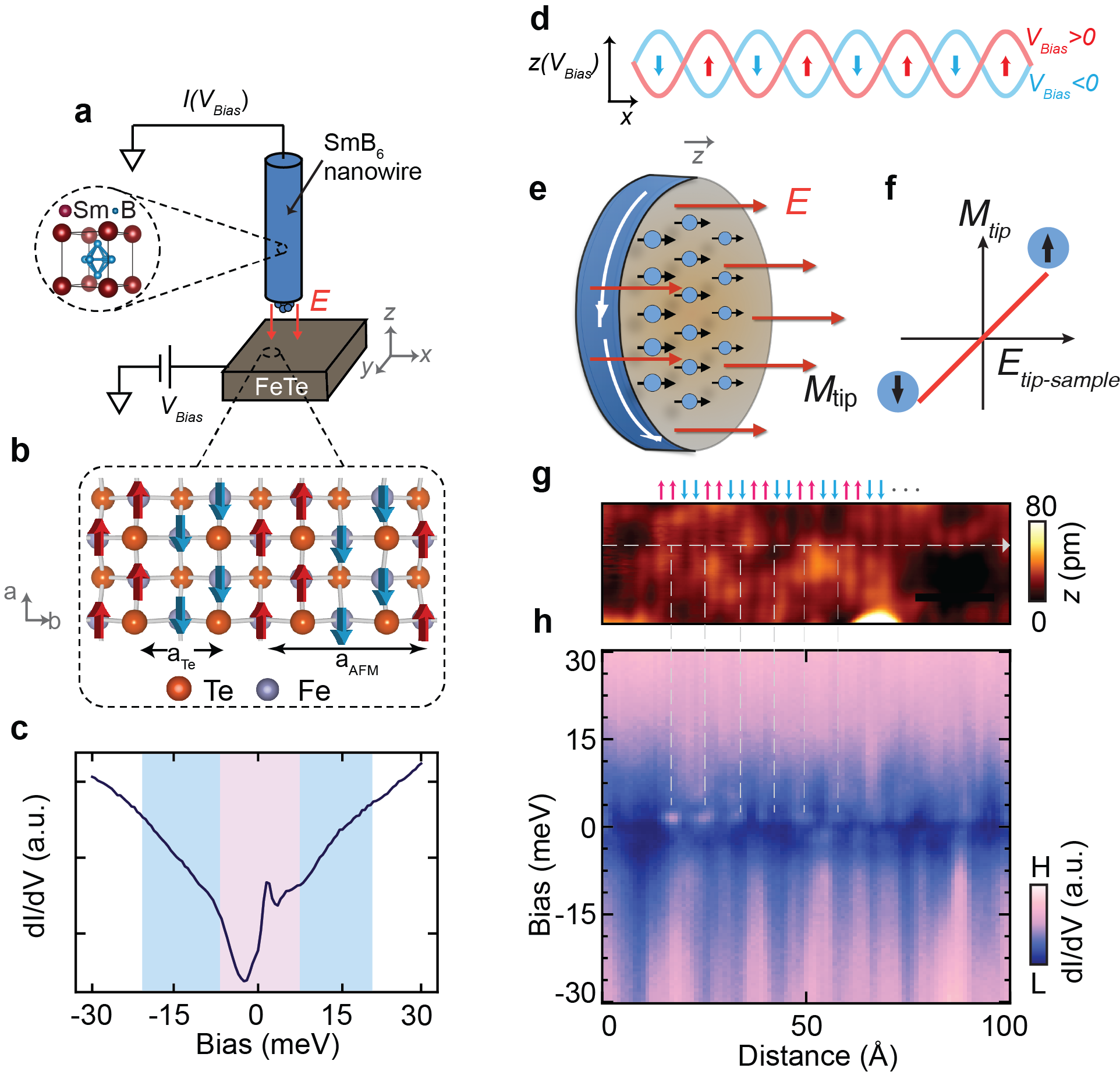 Axionic tunneling signature in a topological Kondo insulator
