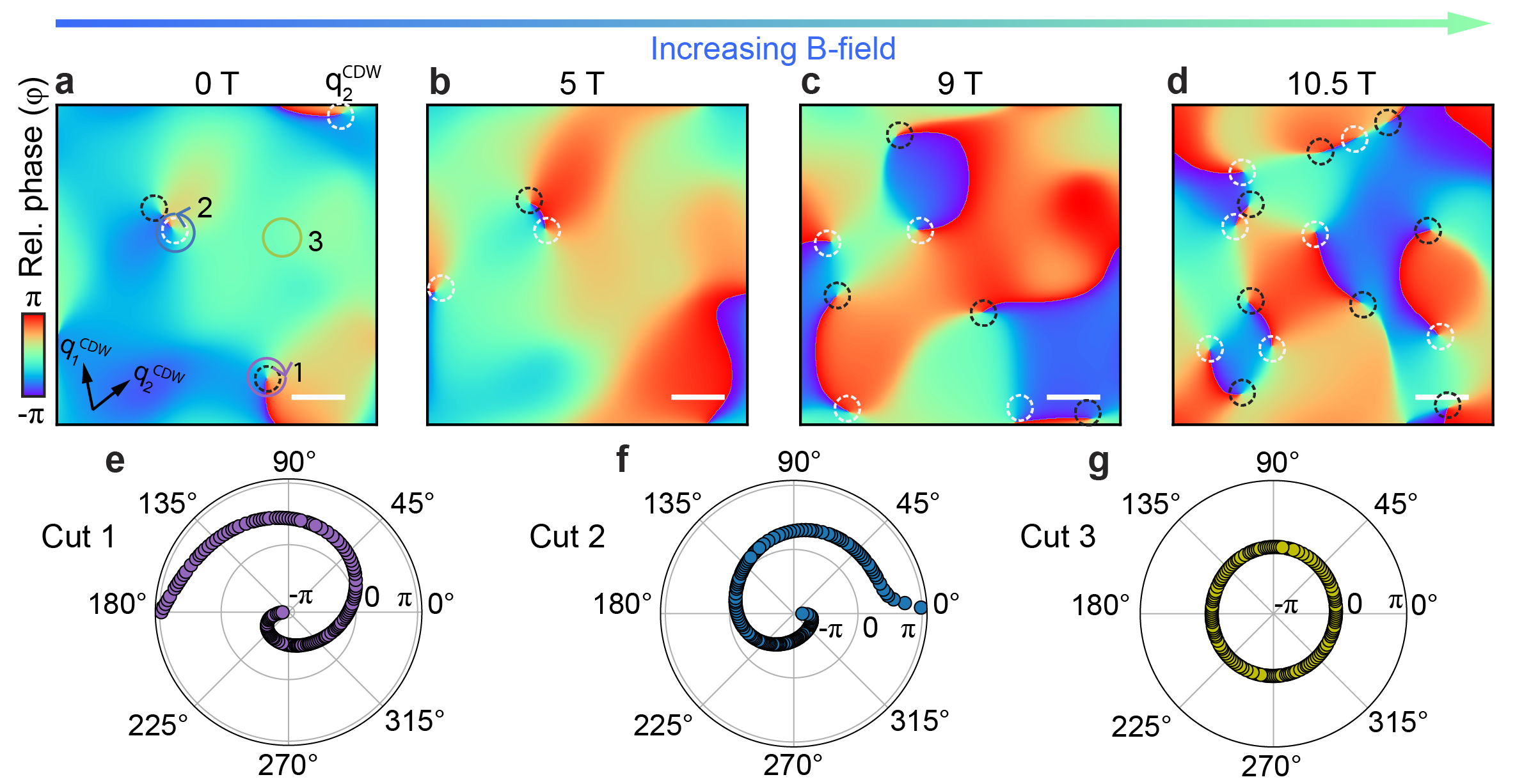 Paired topological defects in the melting charge density wave of UTe₂
